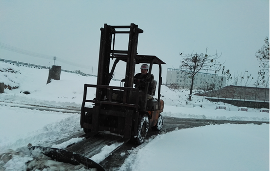 雪地中的“愛”