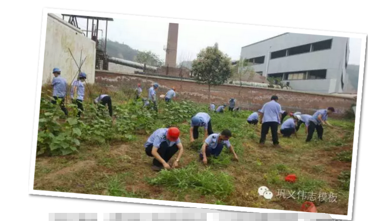 員工冒雨參加義務勞動！感動———偉志鋼模板廠家