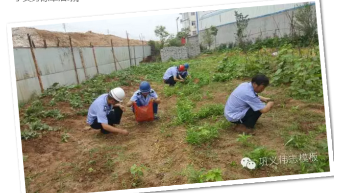 員工冒雨參加義務勞動！感動———偉志鋼模板廠家