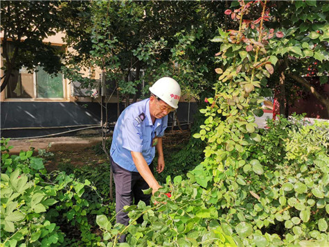 河南偉志模板來(lái)保軍——美麗的花園，來(lái)自辛勤的勞動(dòng)